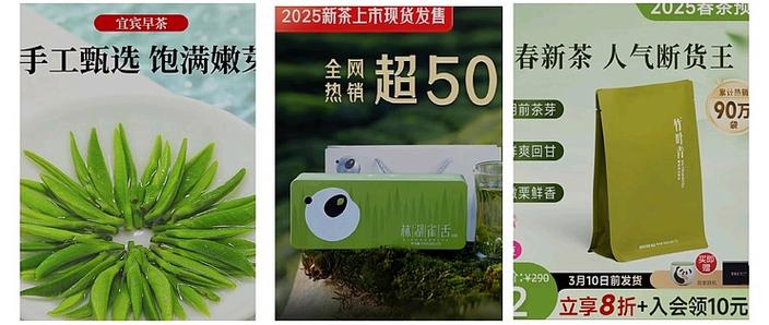 新绿茶什么时候上市