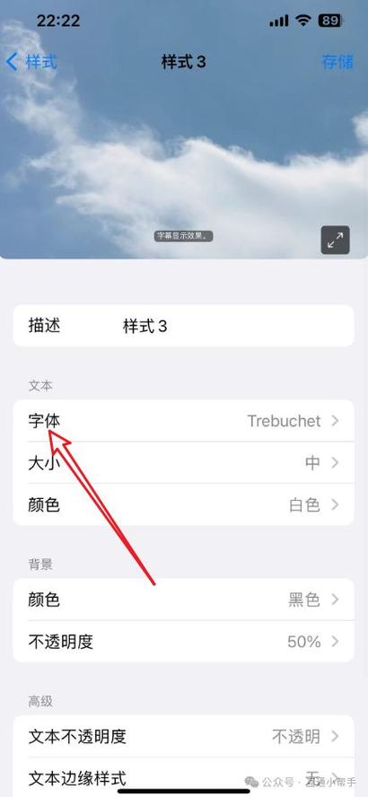 苹果手机怎么调字体