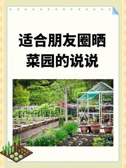 晒菜短句八个字