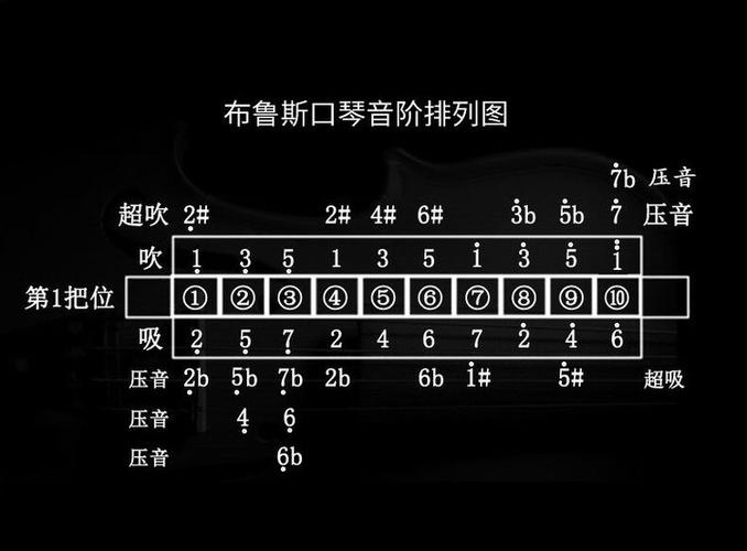 口琴选什么调的好截图