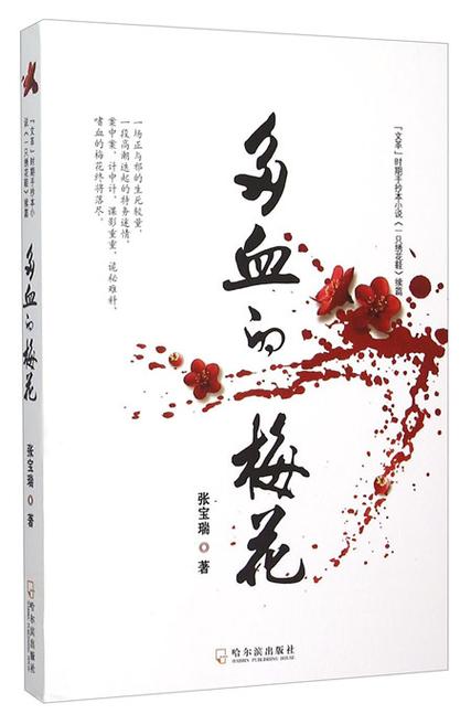 血梅花小说免费阅读