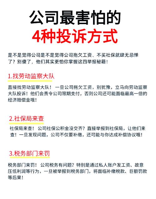 快递员最害怕三个投诉缩略图
