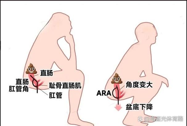 肠子的意思