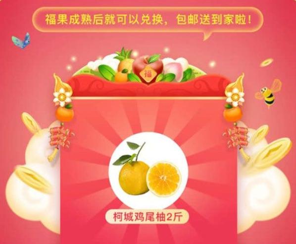 福年种福果靠谱吗