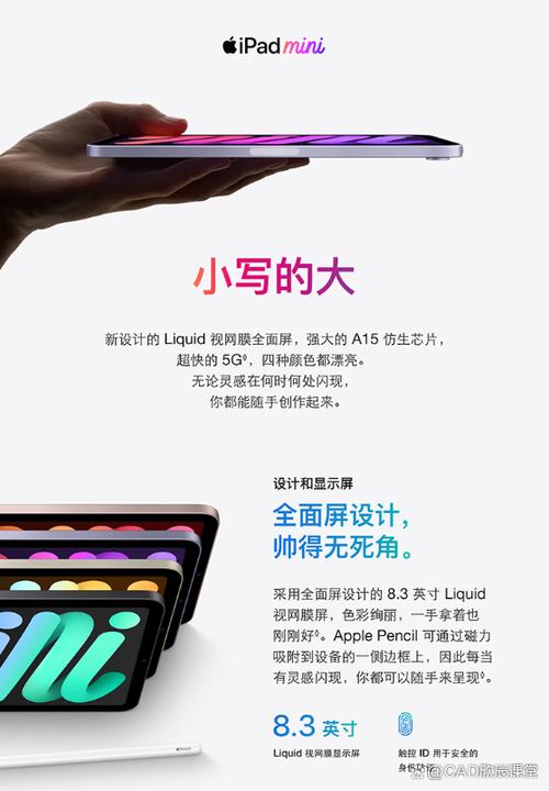 ipadmini6电池健康软件图标