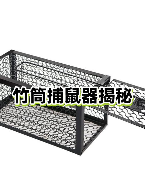 如何抓住聪明的大老鼠