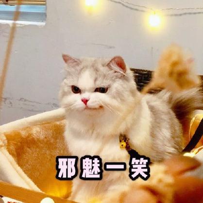 微信里坏笑的表情图片