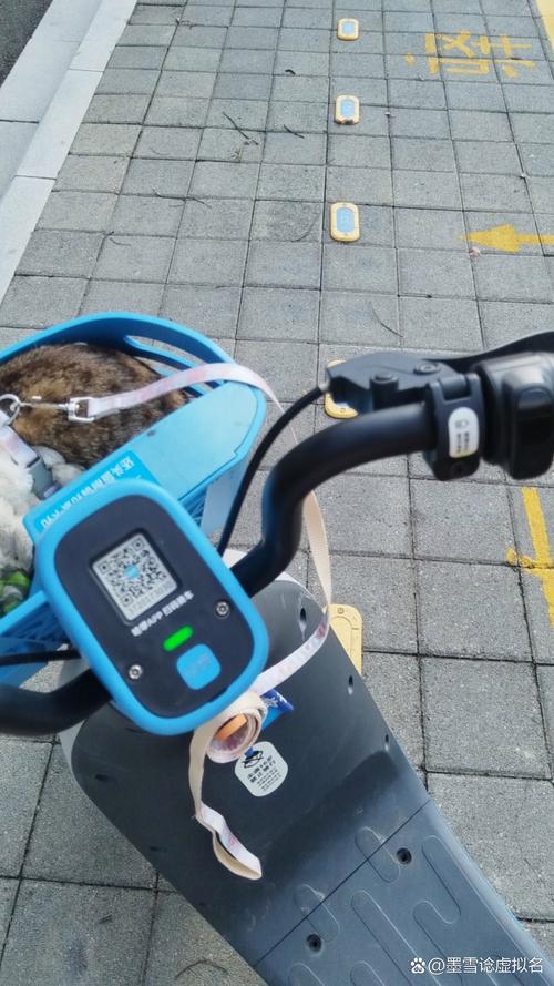 电e宝自己交费怎么回事