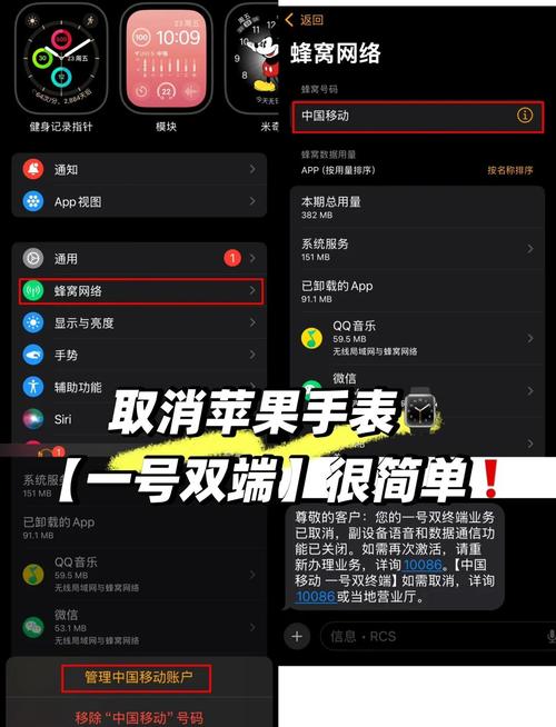 applewatch设备锁怎么解除图标