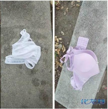 丝袜寄生虫会从内裤爬到床上来吗