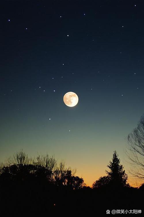 华为手机如何设置夜间免打扰