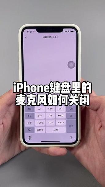 苹果手机麦克风禁用解除方法