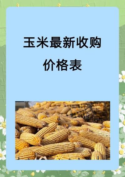 玉米价格最新行情