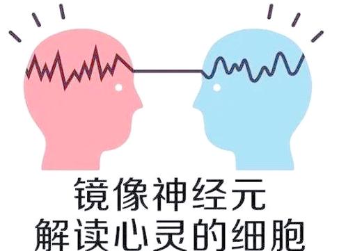 照片镜像