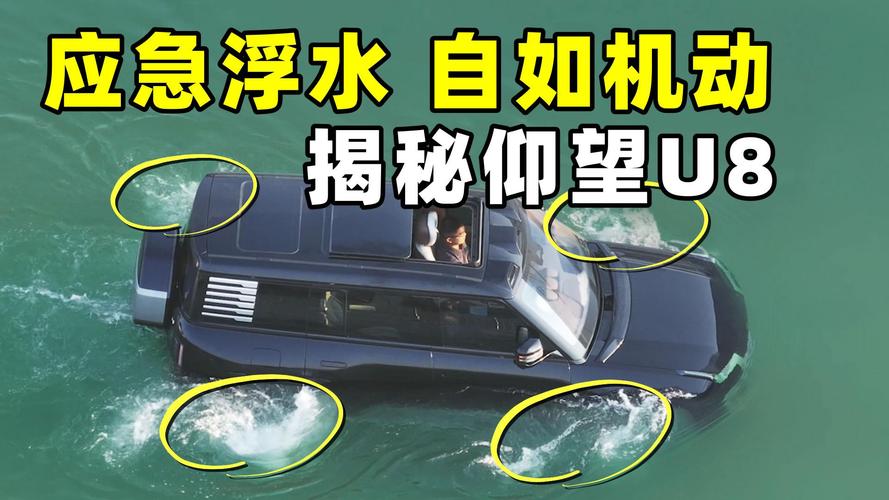 自制浮水助投器截图