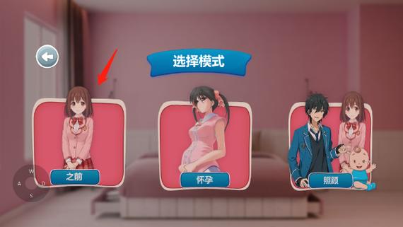 怀孕要生了的游戏