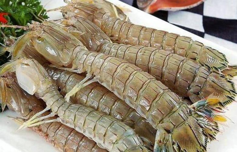 皮皮虾极速版赚钱下载