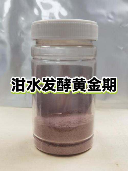 回收饭店的泔水赚钱么图标