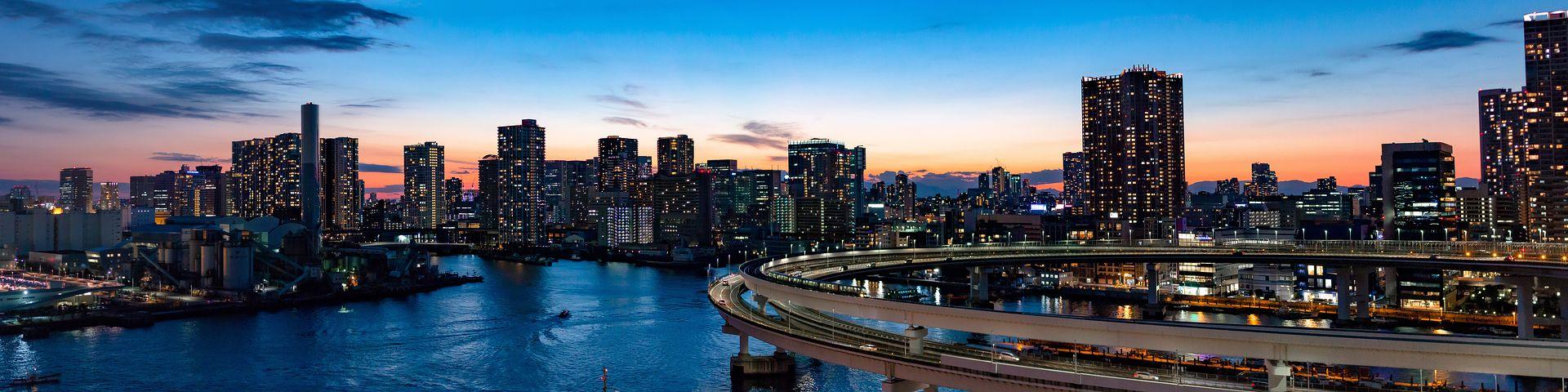 彩虹桥软件图标