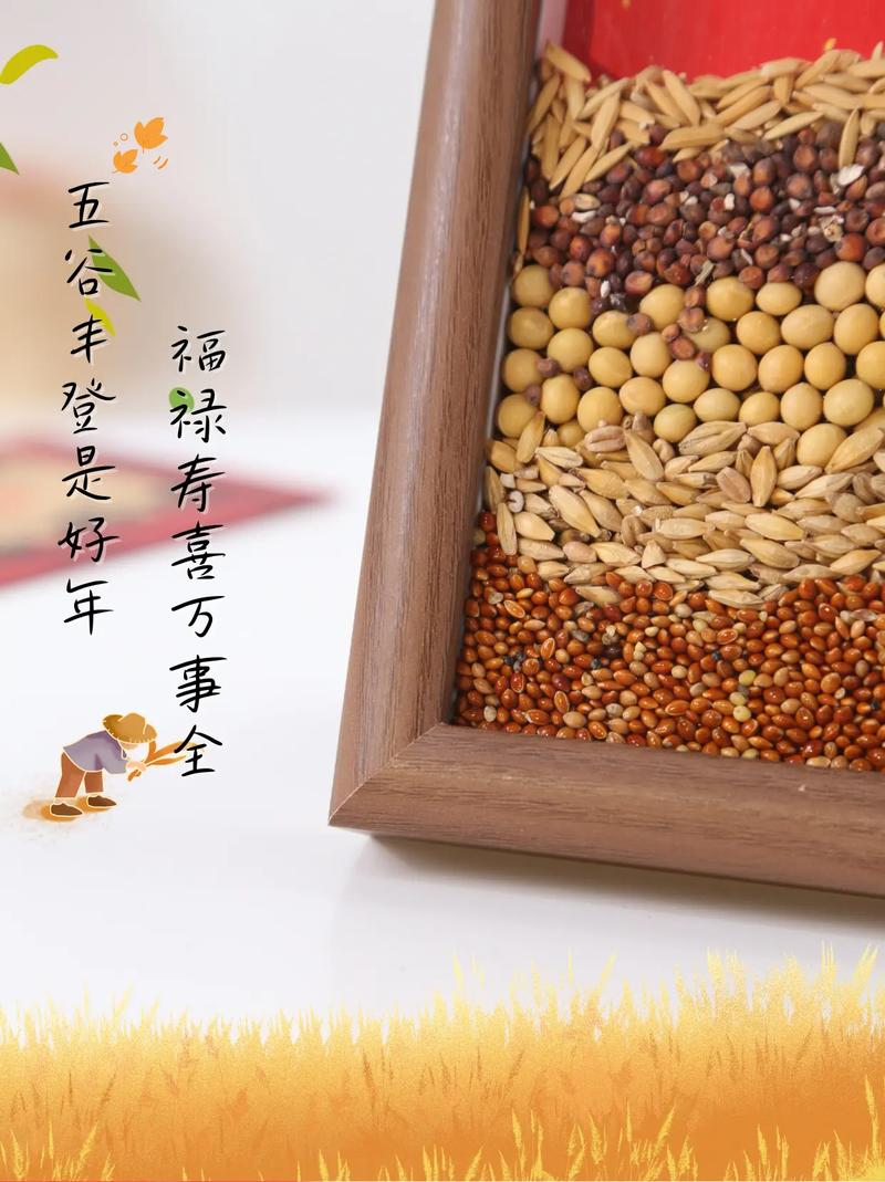 谷歌相机 图库