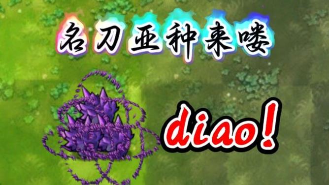 小黑曜石辣椒菇是哪个版本的