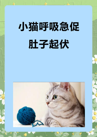 猫咪喘气很急促是什么原因图标