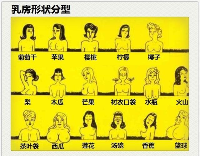 10种标准乳房形状