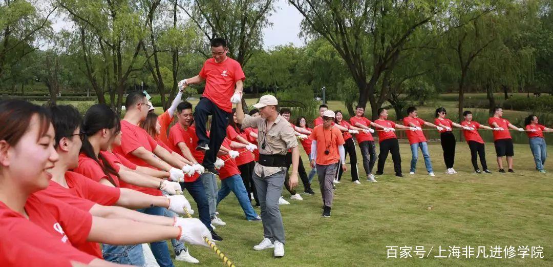 非凡团队是干嘛的