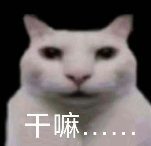 朗诵一首诗赚了20万是干嘛的