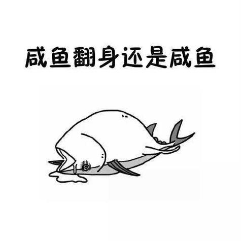 女人晒咸鱼的幽默句子缩略图