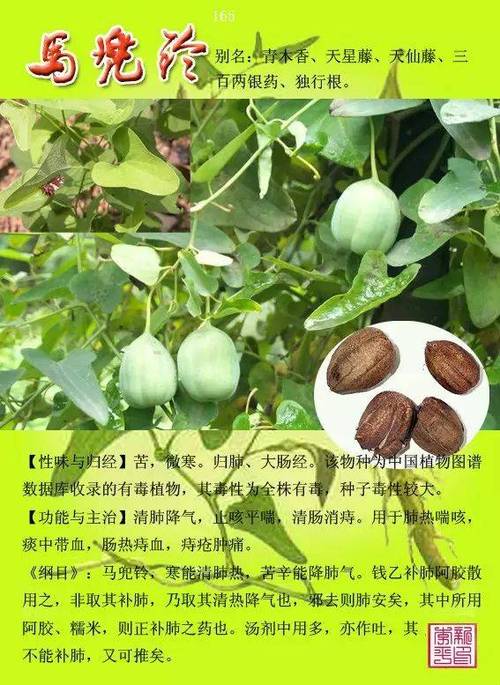 民间中草药大全