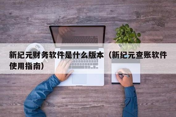 新纪元查账软件使用指南