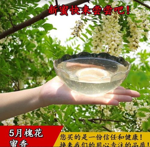 刺槐蜜的作用与功效缩略图