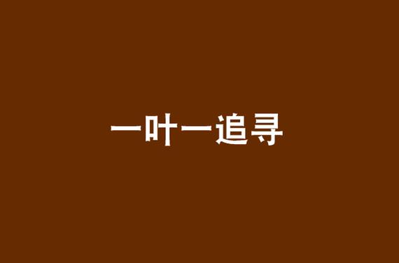 一叶文学城手机版截图