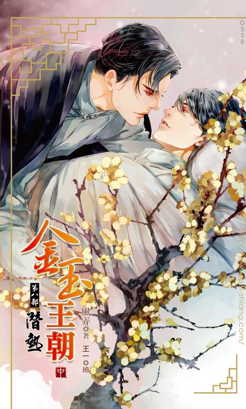 金玉王朝六七八完整版