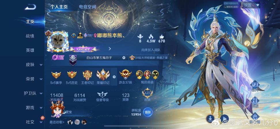 王者荣耀账号怎么看