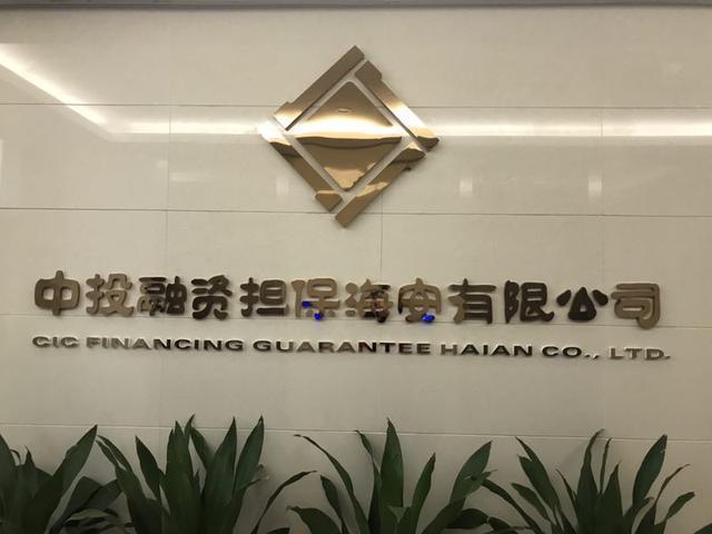 担保公司截图