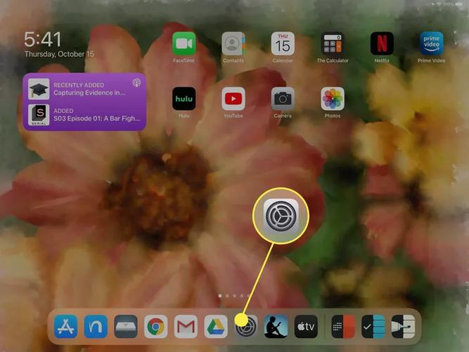 ipad怎么清除数据