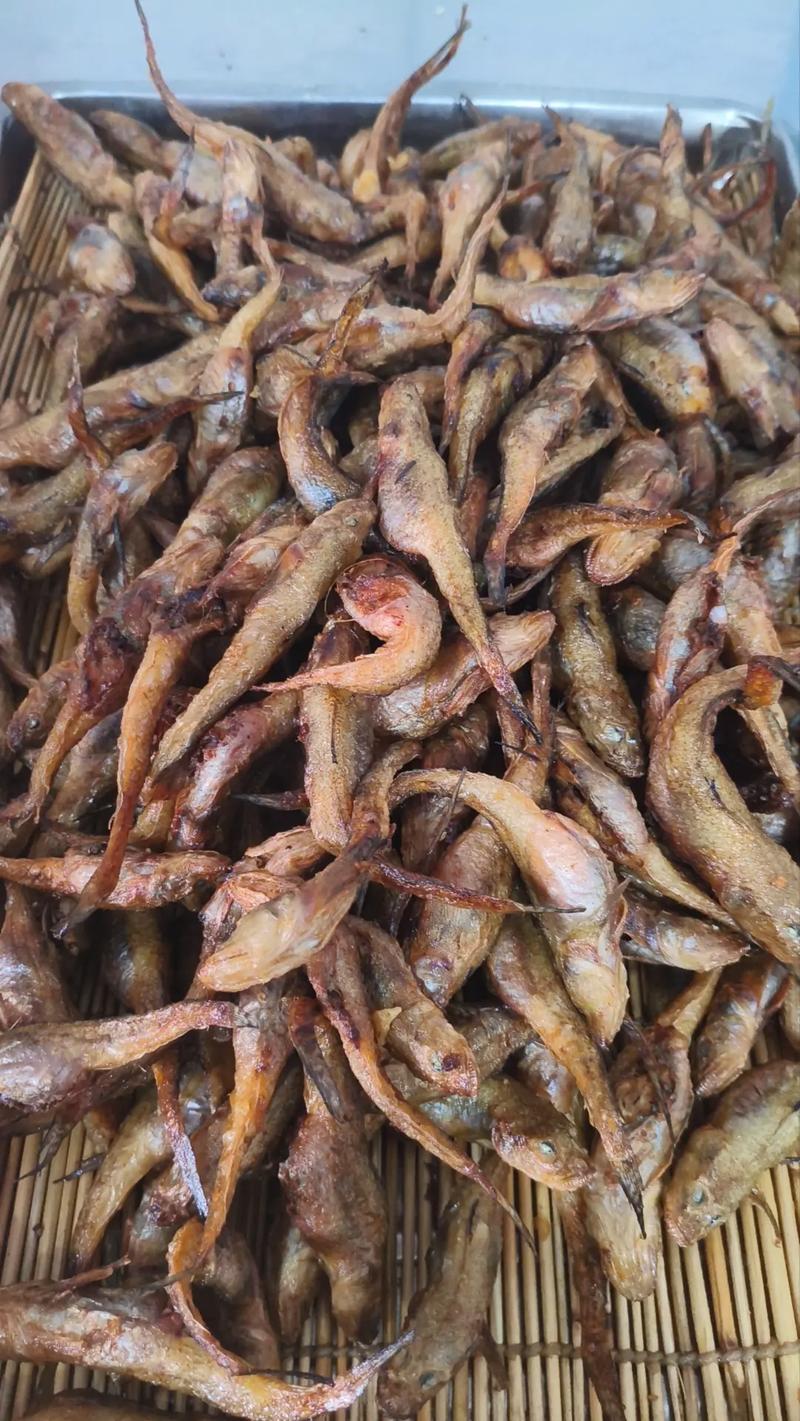 小咸鱼图片