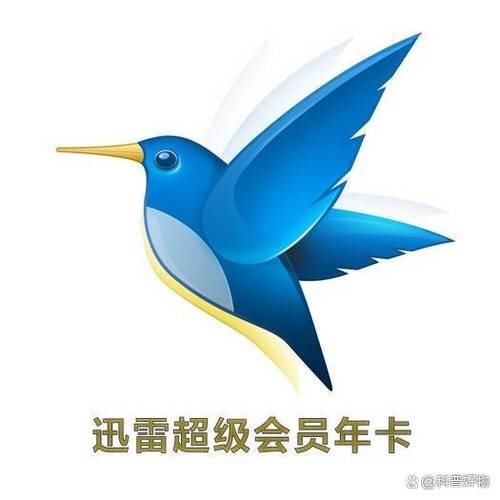 迅雷超级会员下载速度慢怎么回事