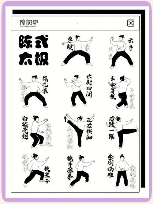 太极十三式教学视频慢动作分解教学图标