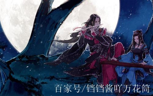 柔风小狐