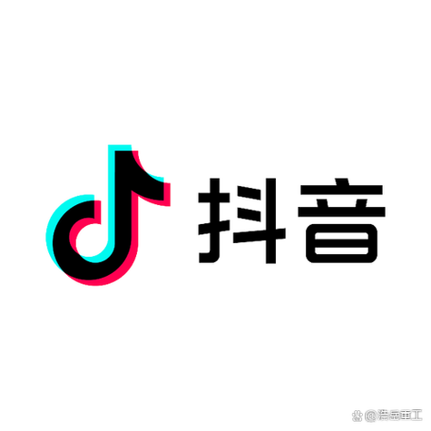 抖音(标准版)
