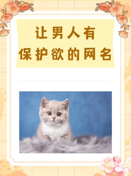 关于小猪佩奇网名