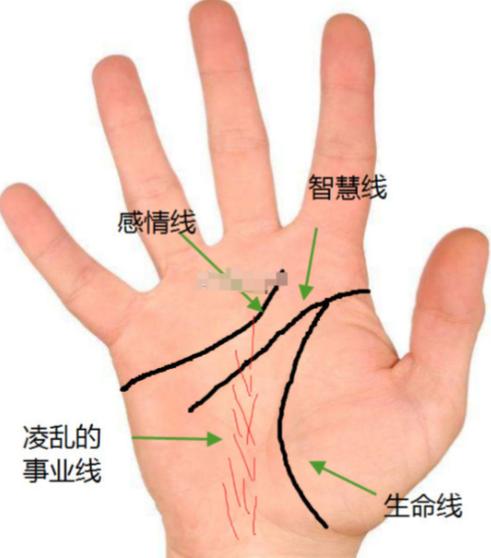 人的生命线长短决定寿命吗