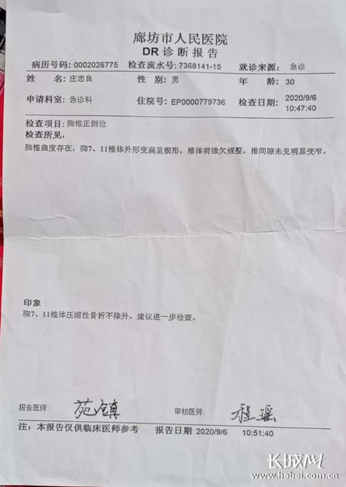 诊断报告生成器