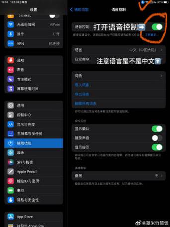 ipad无法打开语音控制截图