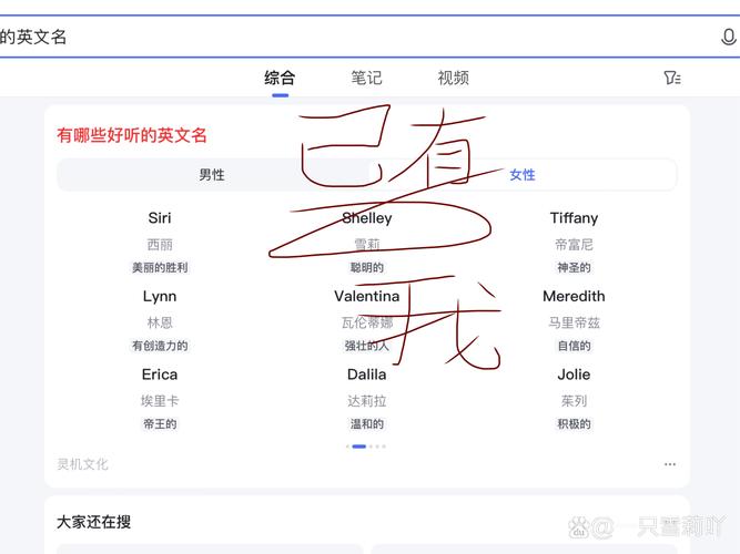 闪lite怎么读