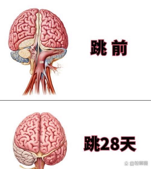 天天跳绳为什么看不到作业