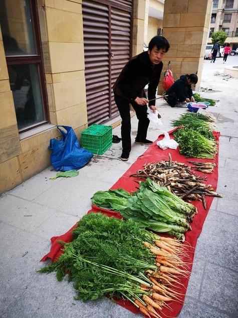 买菜能赚钱吗